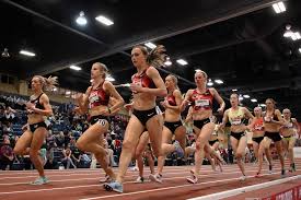 Image result for schwiezer, houlihan, quigley