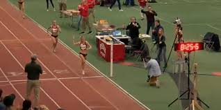 Image result for schweizer beats houlihan