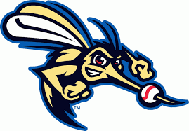 Sugar Land Skeeters Cap Logo (2012) - | Animal logo, Logos, Logo ...